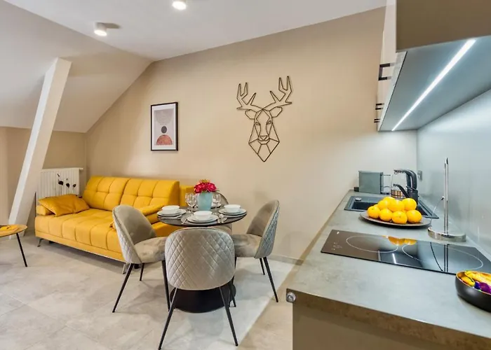 Vip Zdrojowa 6 Lägenhet *